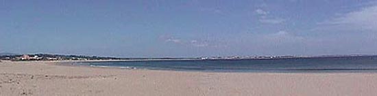 Meia Praia panorama.JPG (10236 bytes)